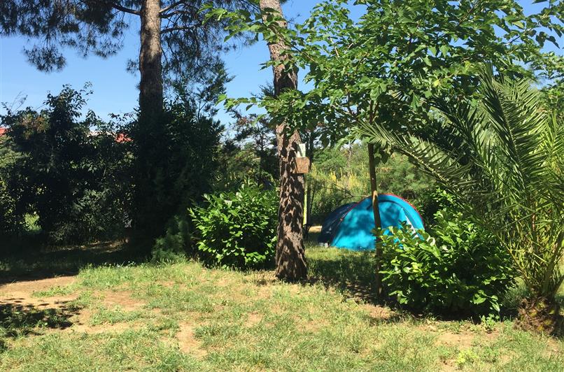 Emplacement camping au Camping Le Floréal, camping 2 étoiles, camping pas cher à Lattes près de Montpellier et Palavas-les-Flots